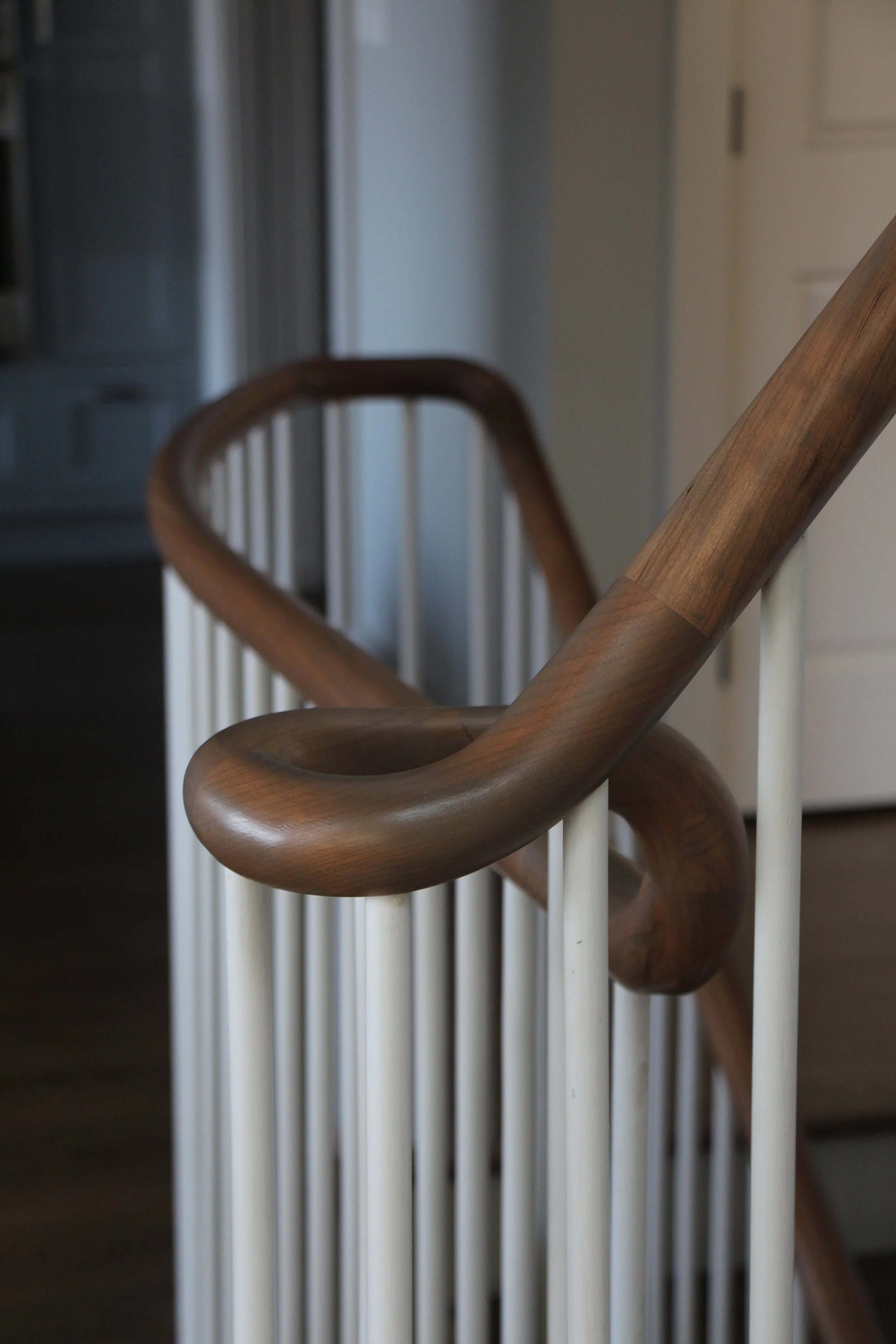 Renovation Richmond Pond 3.JPG