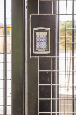 29542722_10156315155783169_3709900064890552320_n.jpg