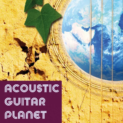 Acoustic Playlists-06.jpg