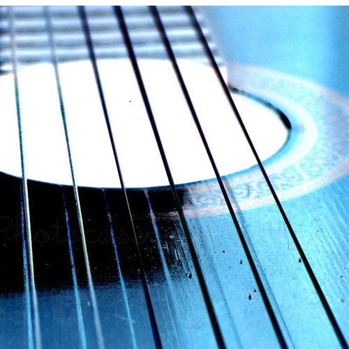 Spotify guitar.jpg