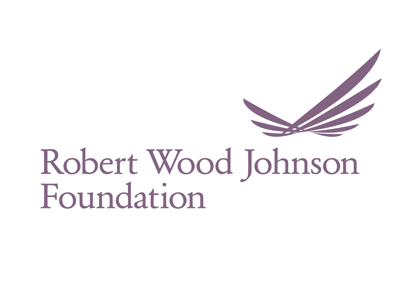 Robert-Wood-Johnson-Foundation-27.png