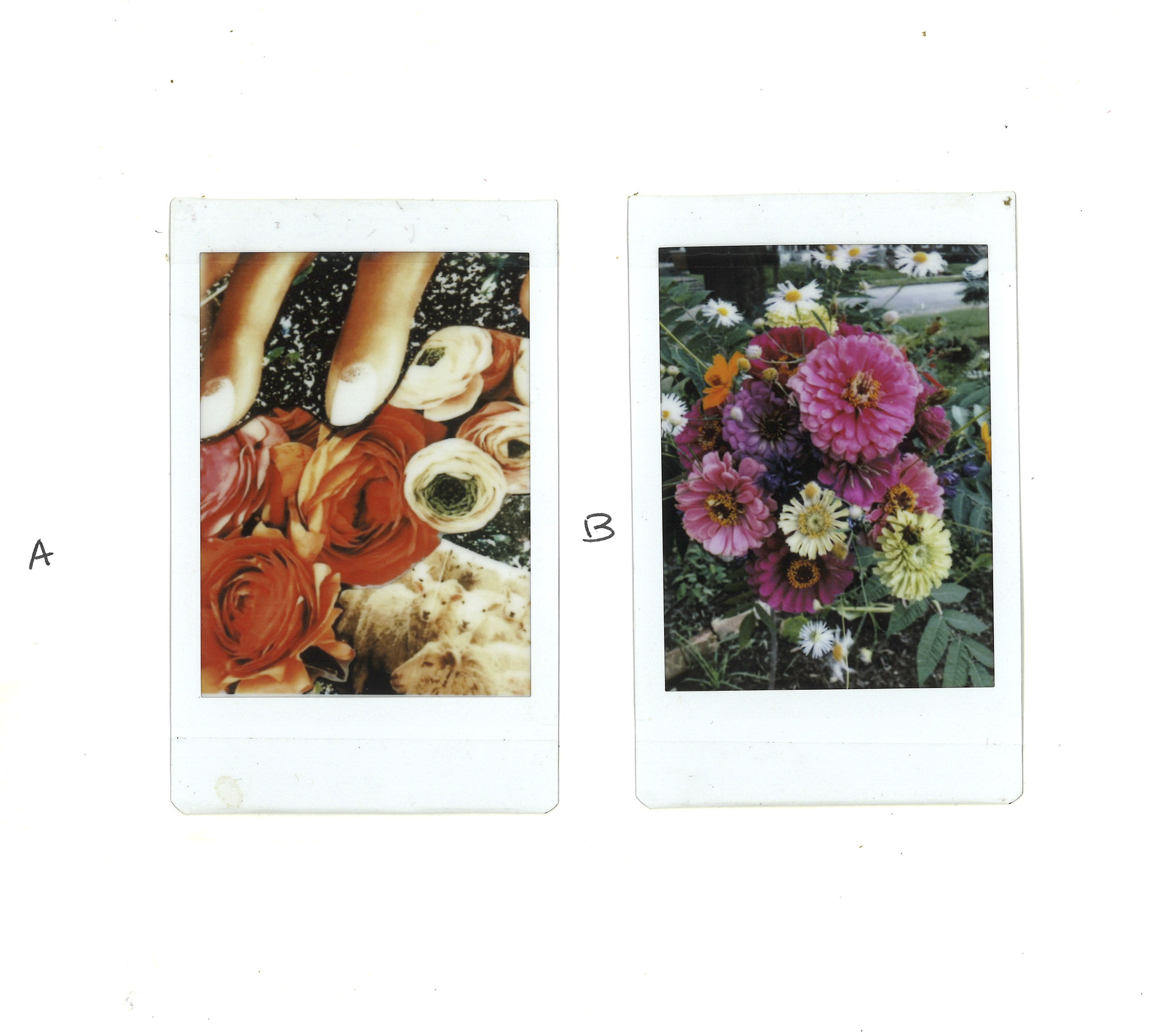 Art Polaroids.png