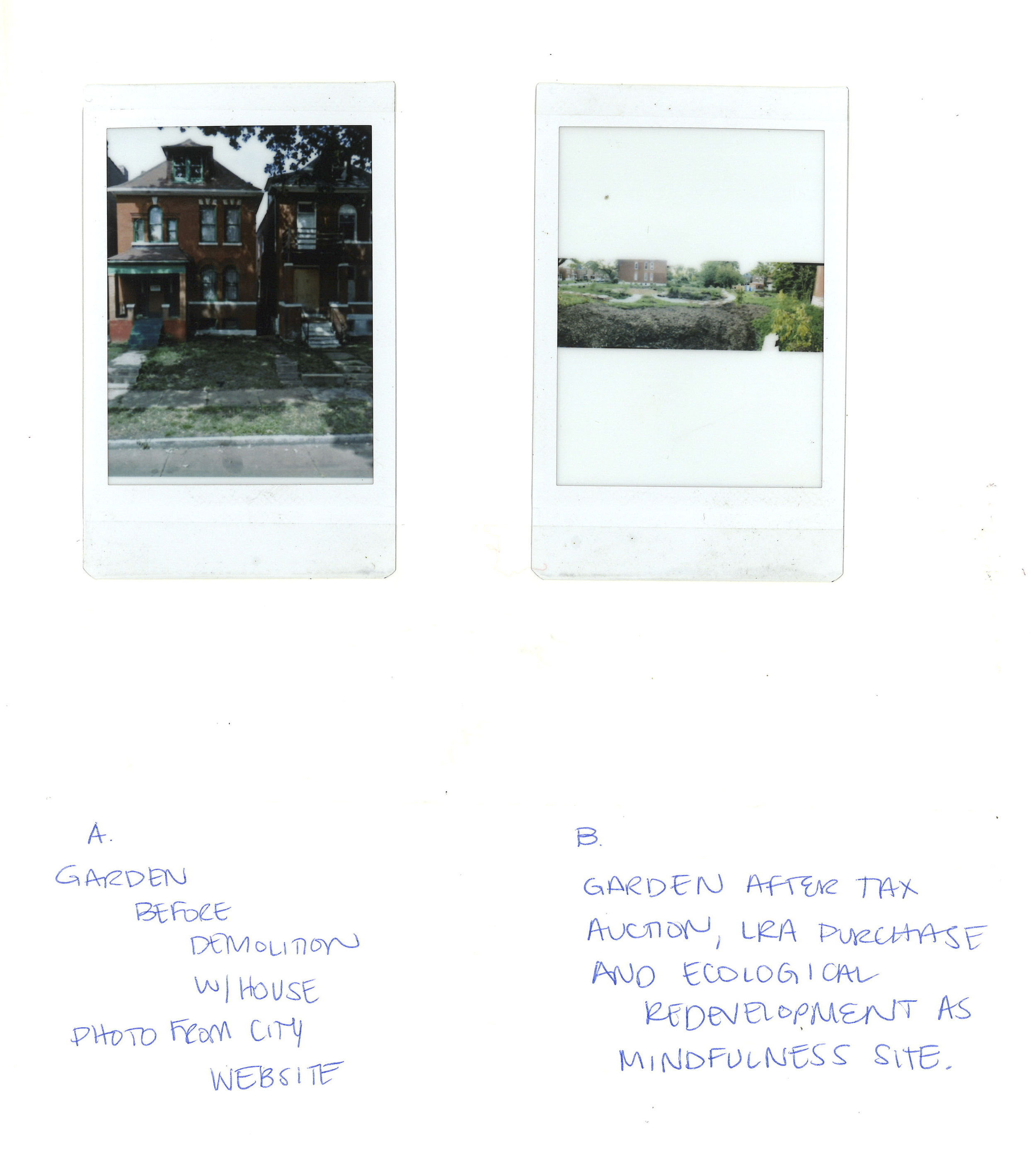 Garden sites polaroids.png