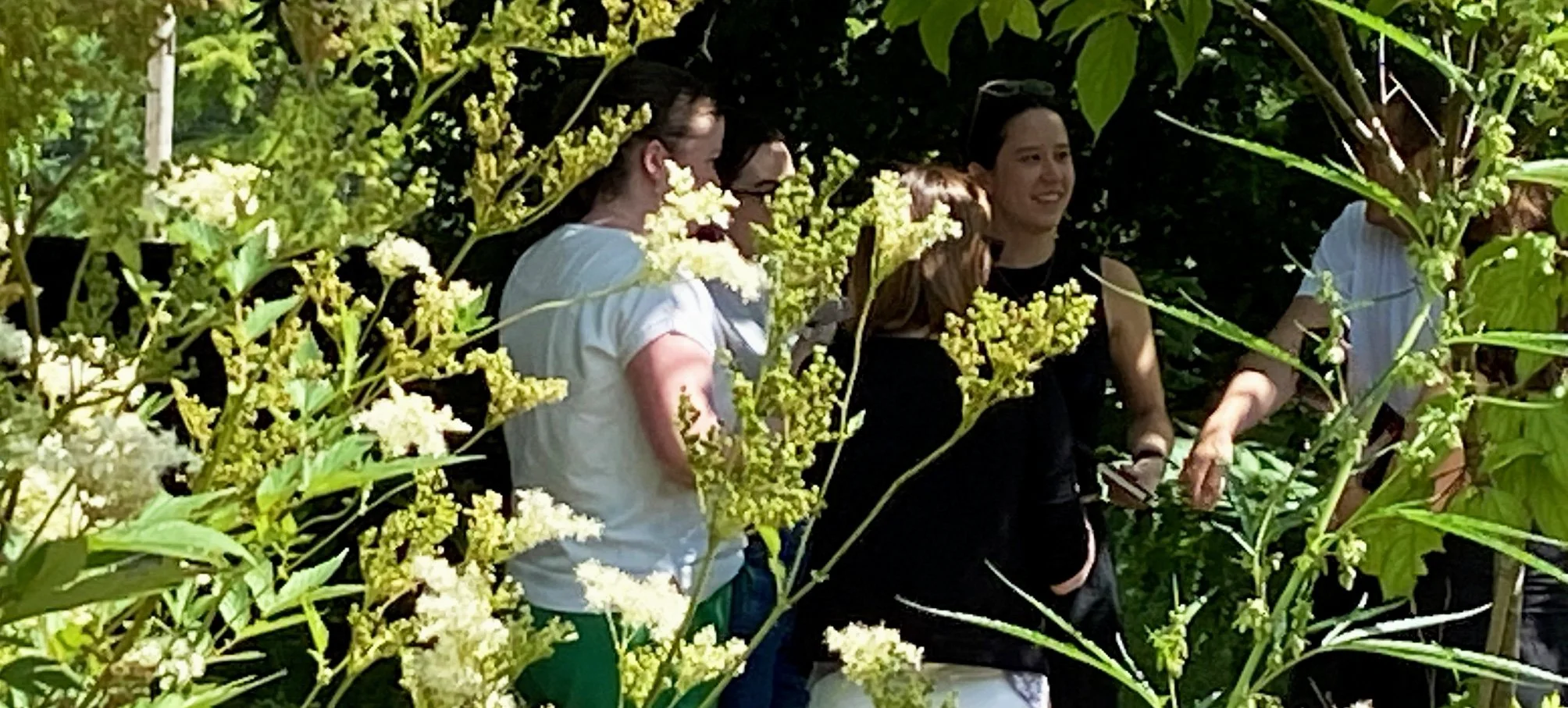 hortus-strook 1.JPG