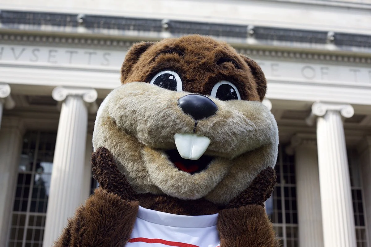 Mit Mascot
