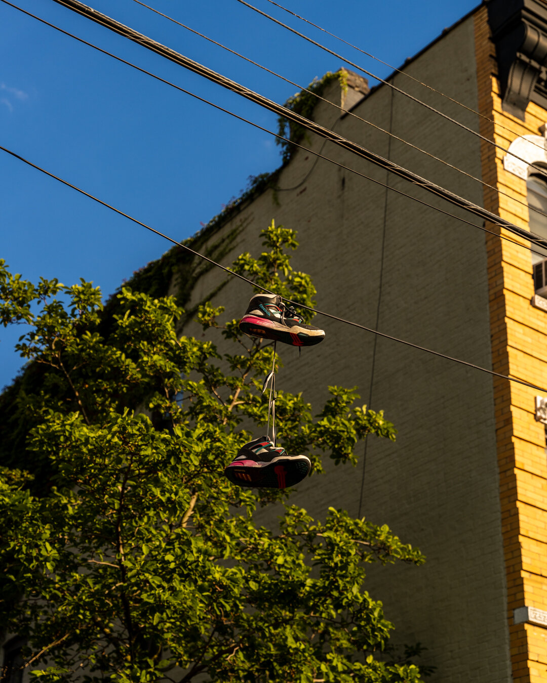 pumps hanging bushwick brooklyn by noah goldowitz