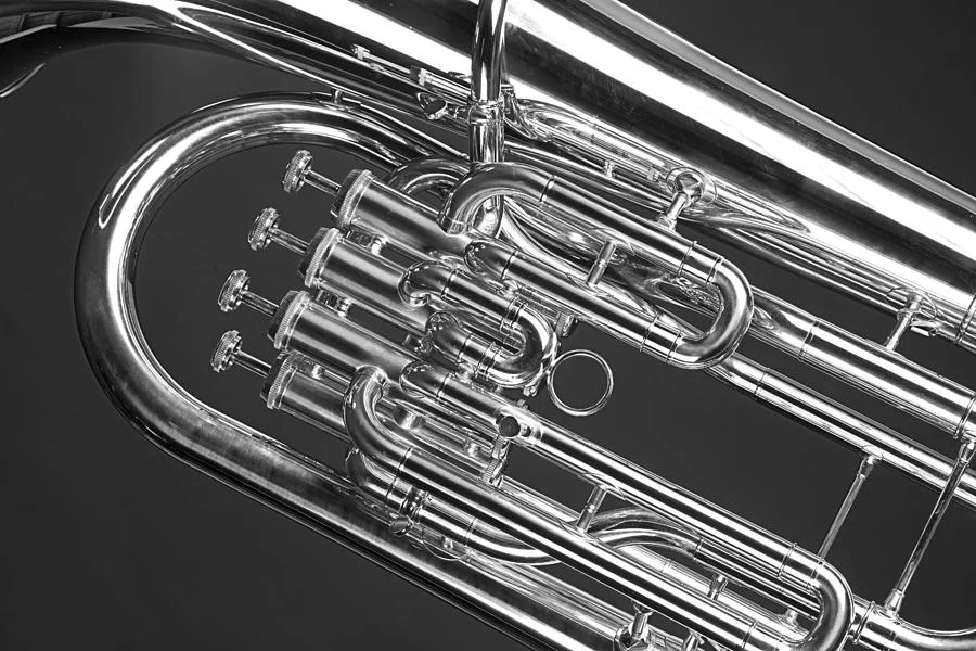 black-and-white-tuba-m-k-miller.jpg