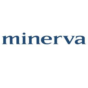 Minerva Nonprofit Management Consulting