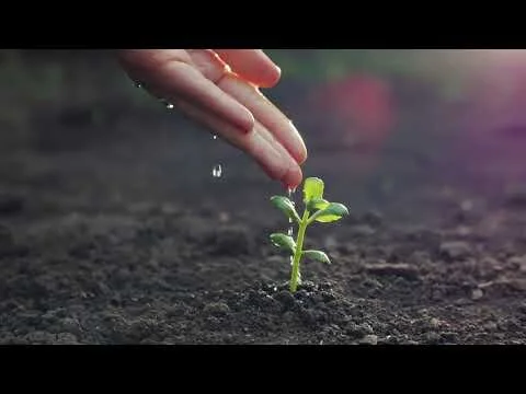 Minerva Nonprofit Management Consulting