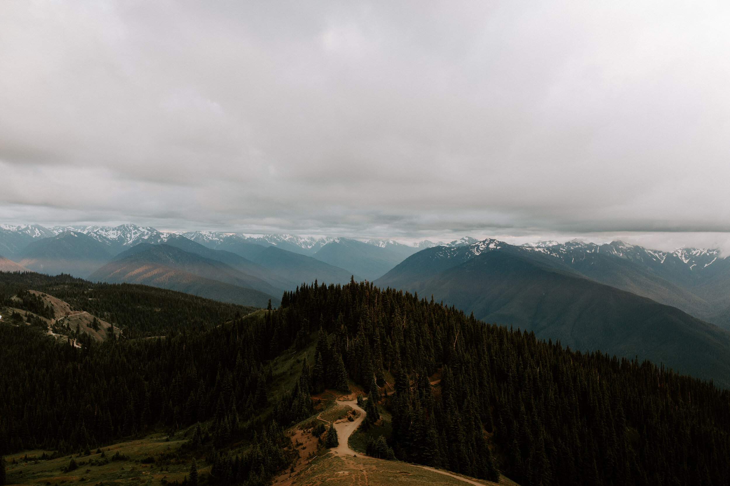 Hurricane Ridge