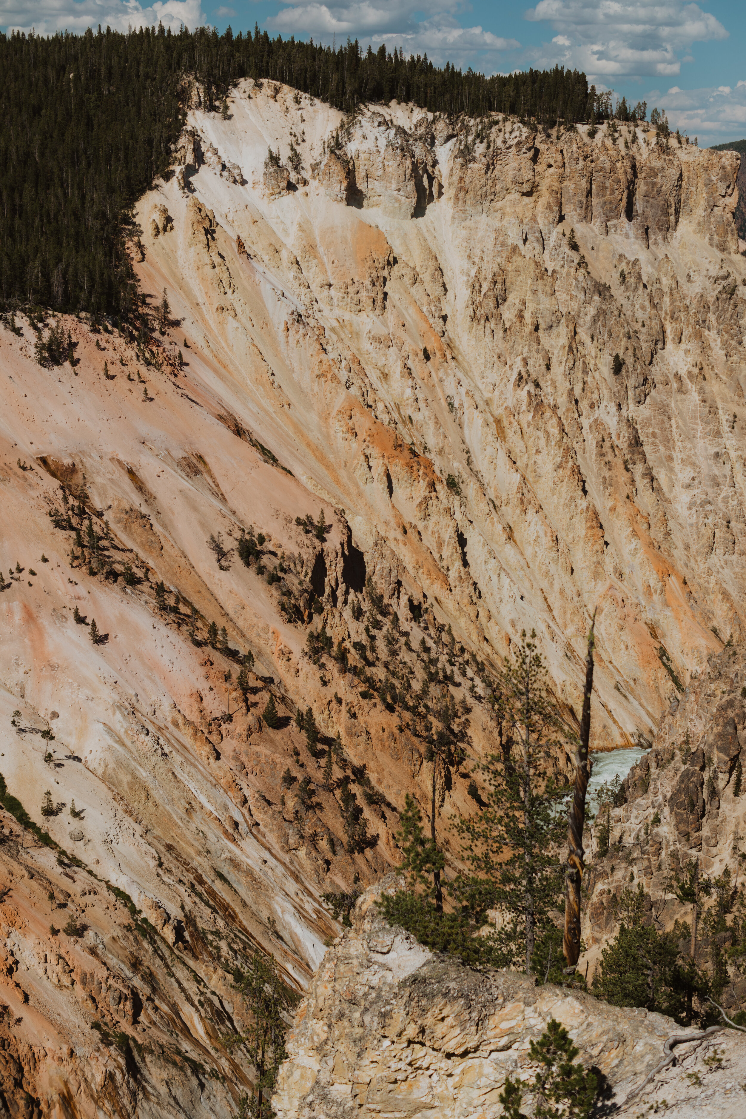 Grand Canyon of Yellowstone
