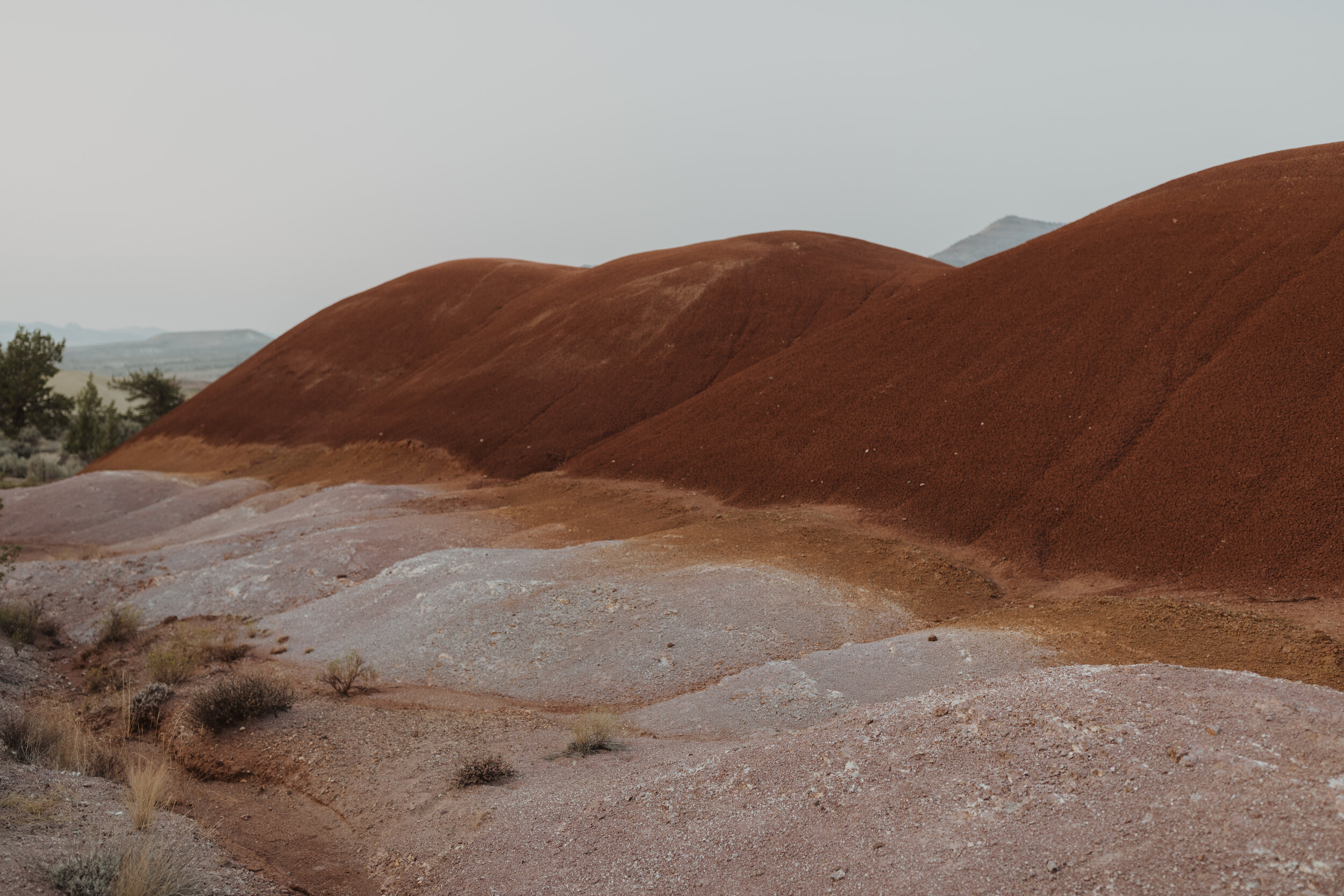 Painted Hills Two