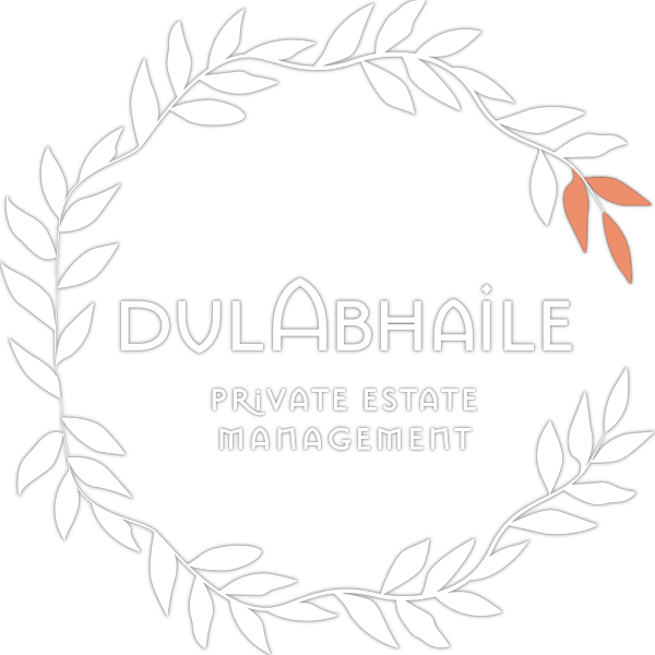 dul_Abhaile_Logo_White&Orange.png