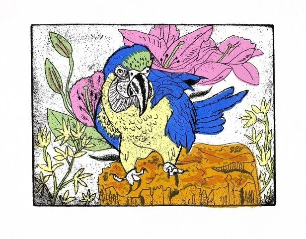 Parrot