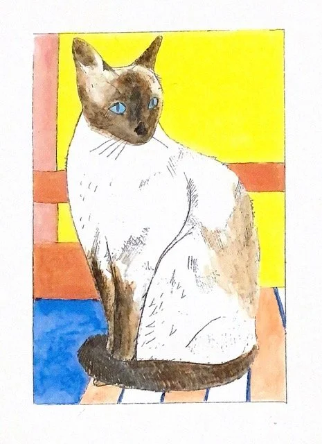 Siamese cat