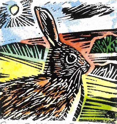 Rabit