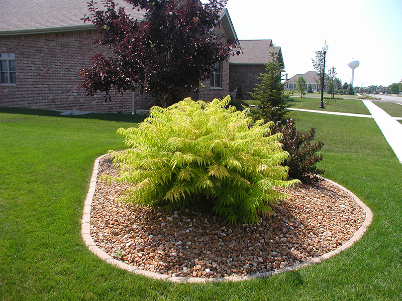 How Does Summer Affect Lawn Fertilization in St. John, IN?