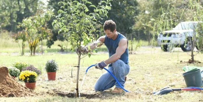 Technology Meets Landscaping: Tools To Help Your Spruce Up Your Yard This Summer