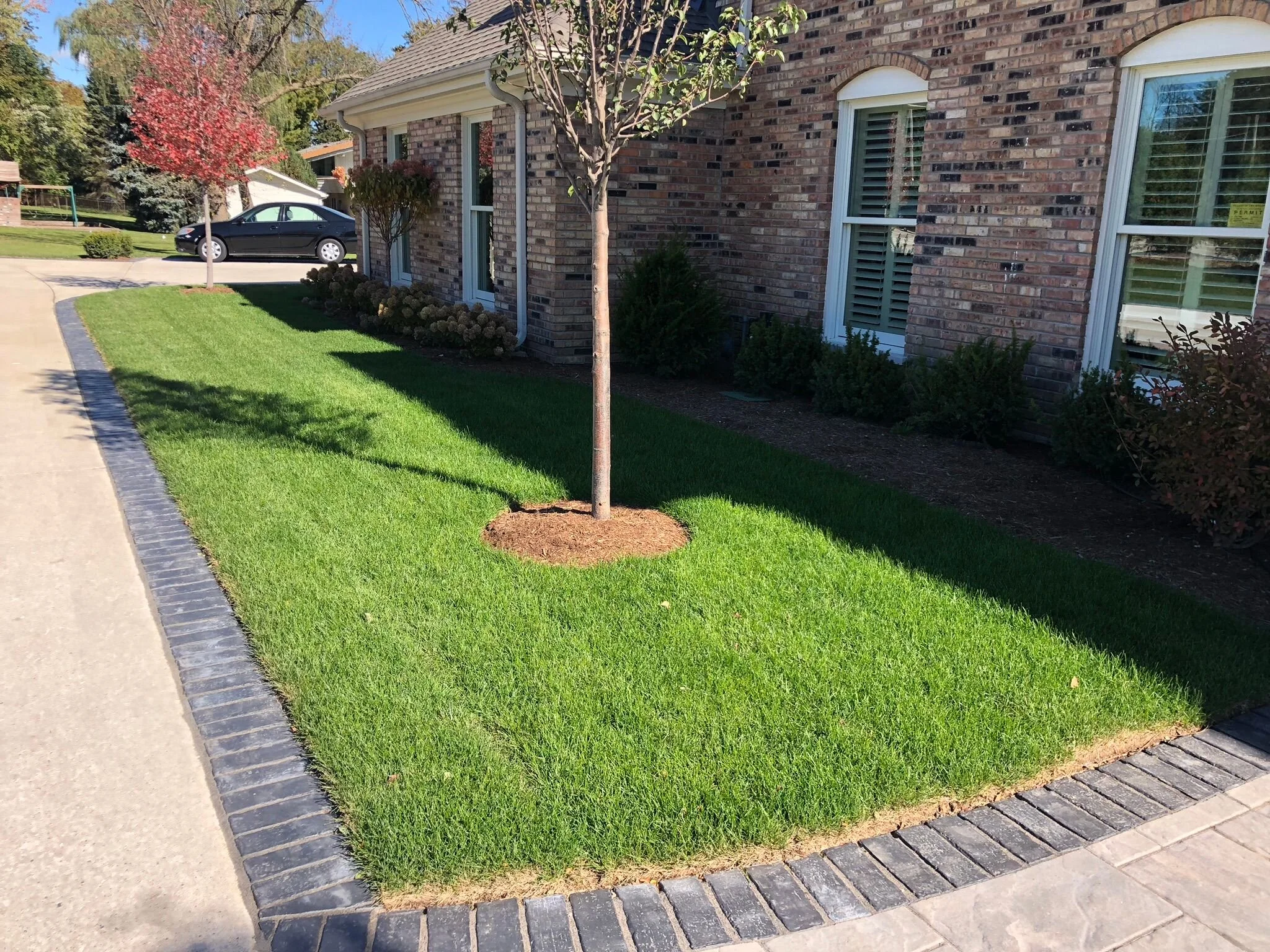 It's Easy to See Green with These 5 Professional Lawn Care Services in Homer Glen and Frankfort, IL