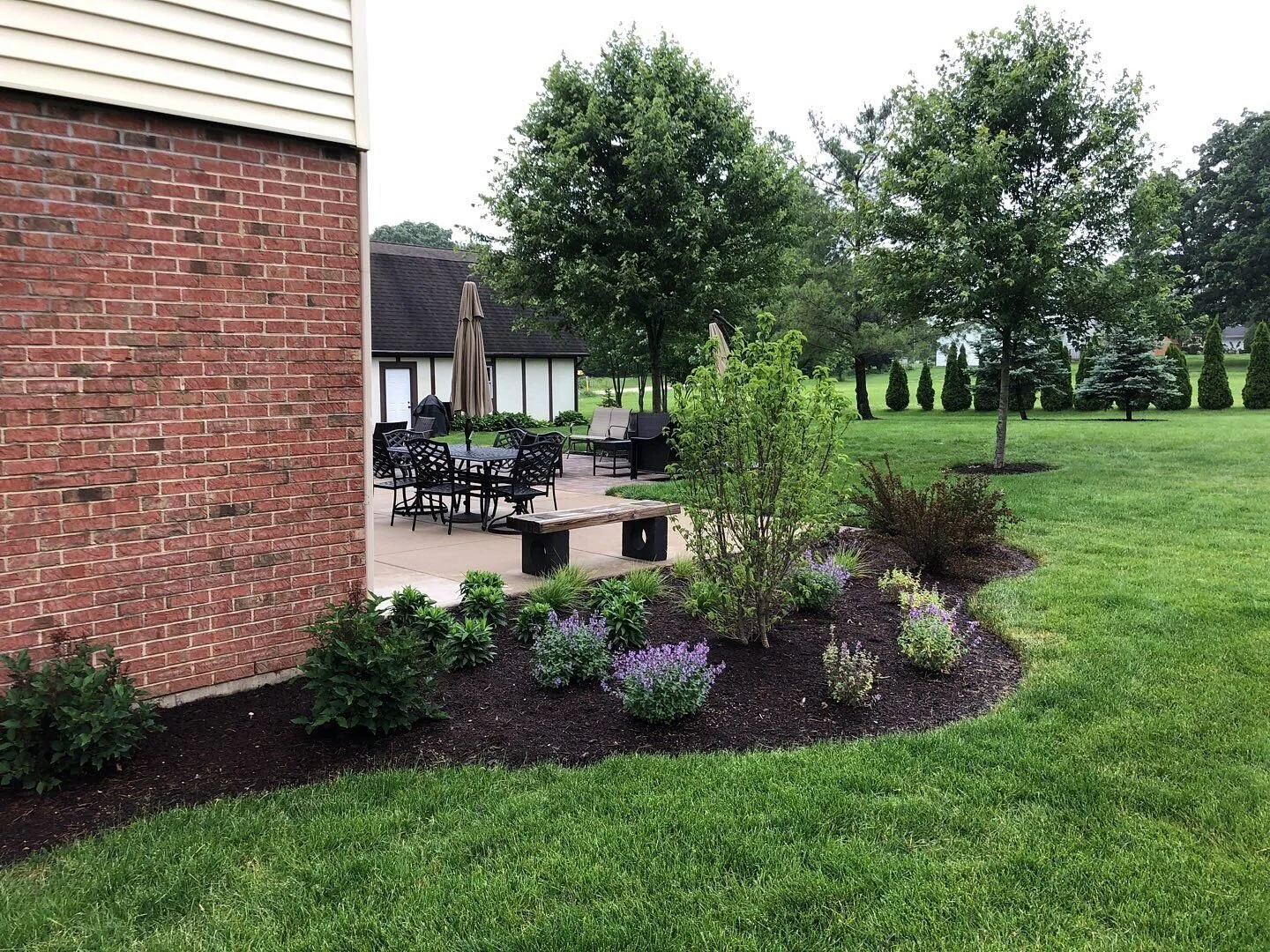 Keep Your Lawn Green All Summer Long with These 5 Lawn Care Tips in Mokena and New Lenox, IL