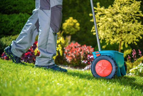 Don't Forget to Plan Your Lawn Care for the Colder Months in Frankfort and Manhattan IL