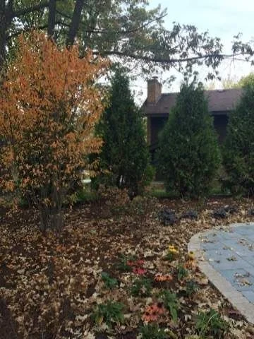 Why It's Never Too Late to Schedule Professional Lawn Care in Homer Glen and Mokena IL