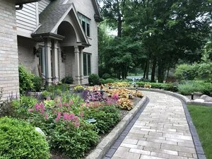 Landscapers Near Me Recommend These 4 Tips for Plant Care in St. John, IN