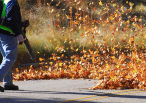 Are Landscapers Near Me Scheduling Fall Cleanups Yet in the Homer Glen, IL Area?