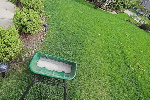 Should Your Lawn Care Plan Include Lawn Fertilization in the New Lenox, IL Area?