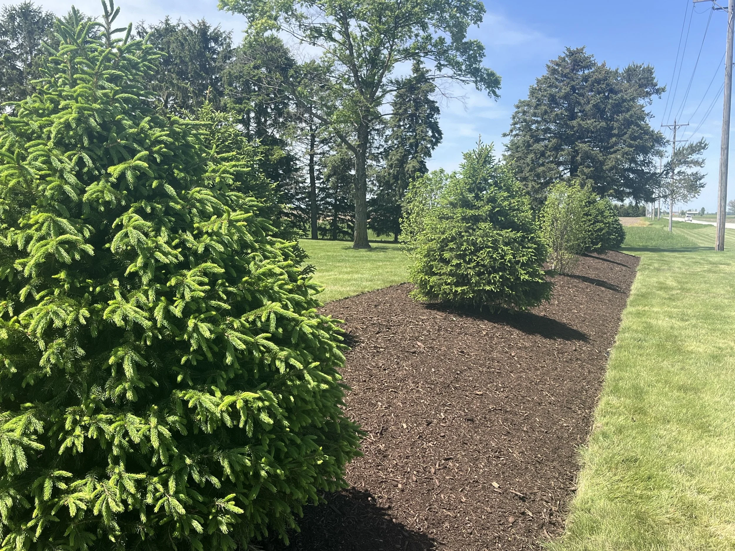 Tinley Park and Orland Park, IL: Superior Lawn Care for a Flawless Outdoor Experience