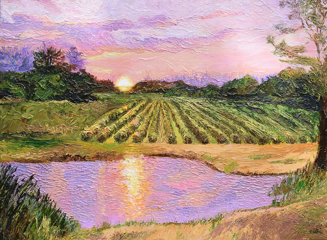 vineyard sunset small copy.jpg