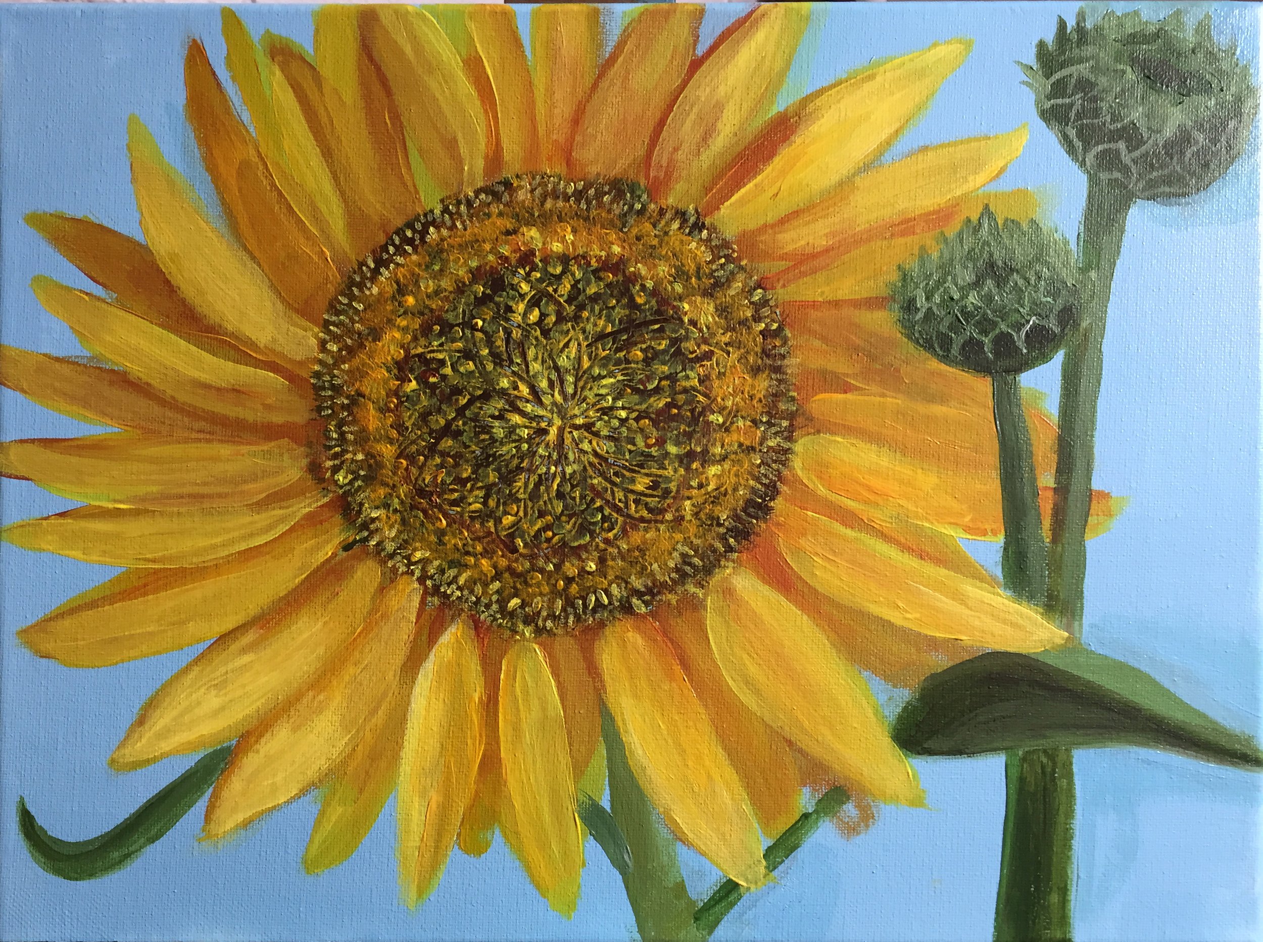 sunflower example.jpg
