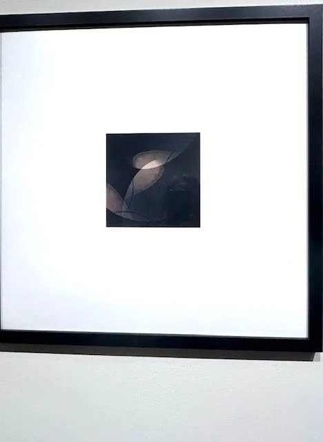image15.jpeg