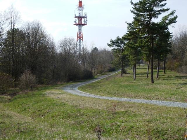 Fernsehturm am Oschenberg