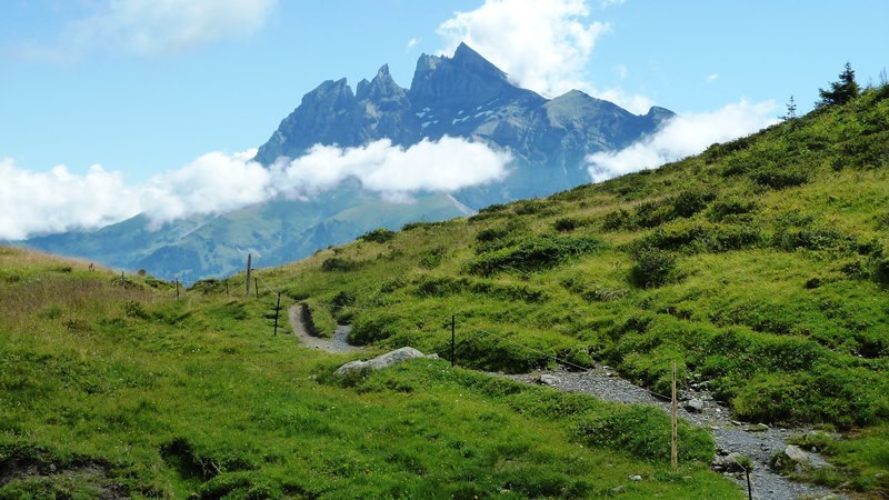 Garantiertes Trailvergnügen mit Blick auf die Dents du Midi