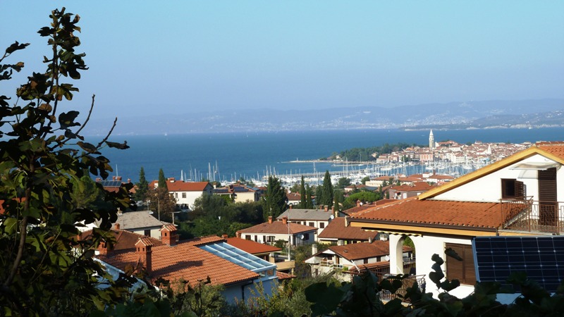 Izola