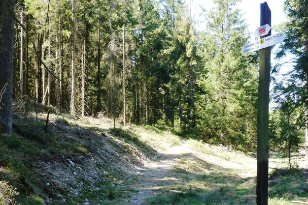 Der Fränkische Gebirgsweg wird zum Traumtrail ...