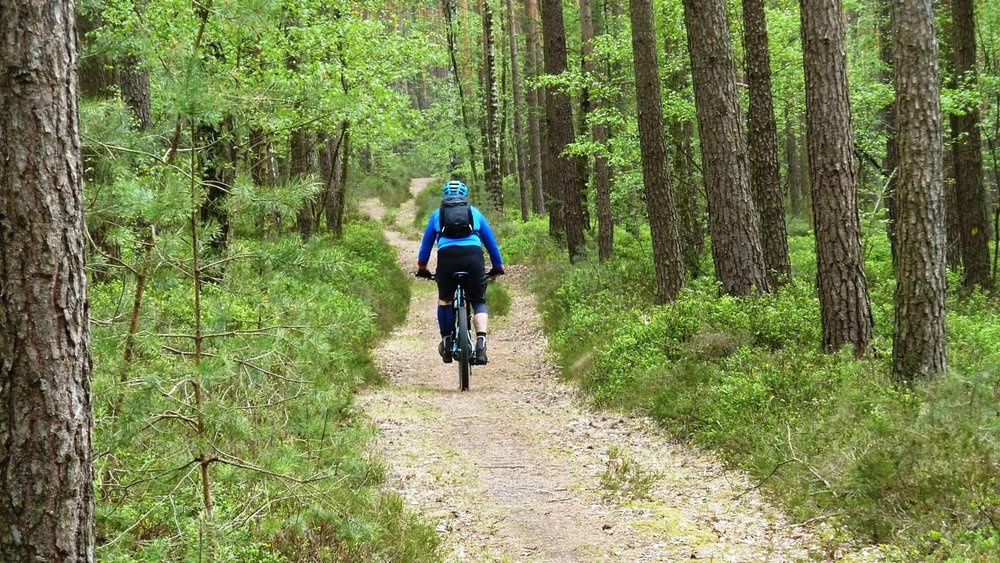 Trail im Sandrangen