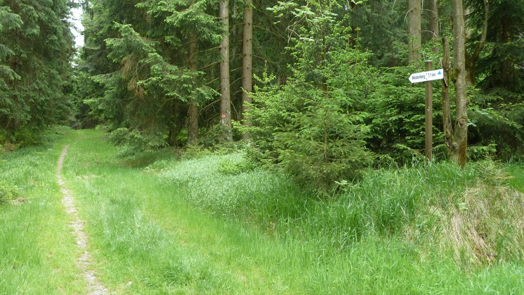 Am Mittelweg: Einstieg in den langen Trail nach Weidenberg