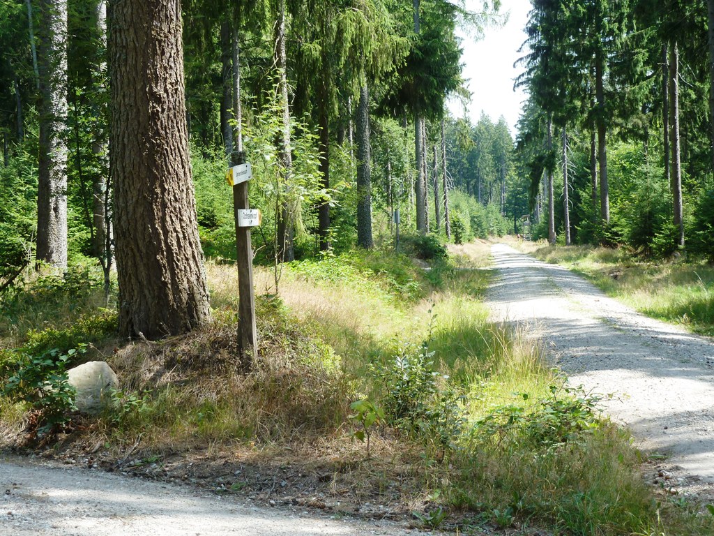 Die Tour führt über die Ringwege ...