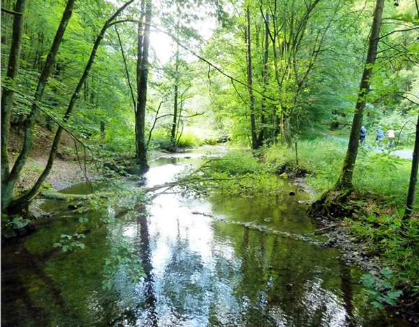 Zwischen Steinach und Wilder Rodach