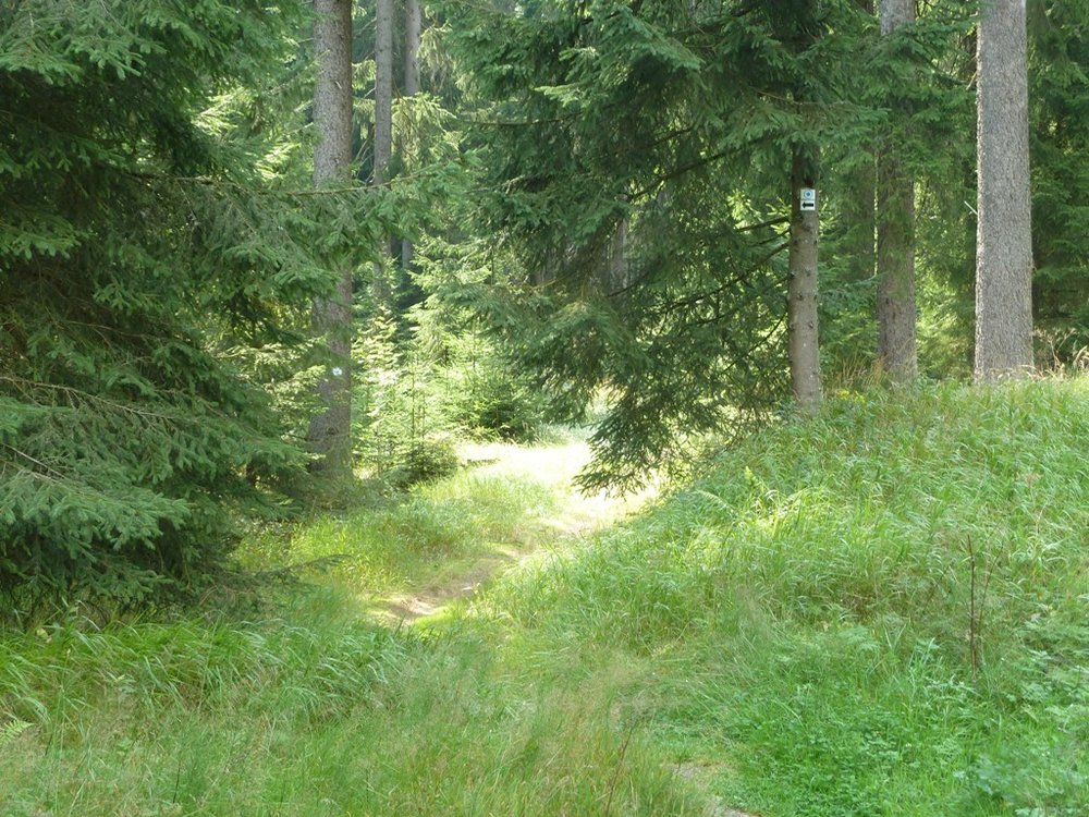 Versteckter Einstieg in Trail (blauer Punkt auf weißem Grund)