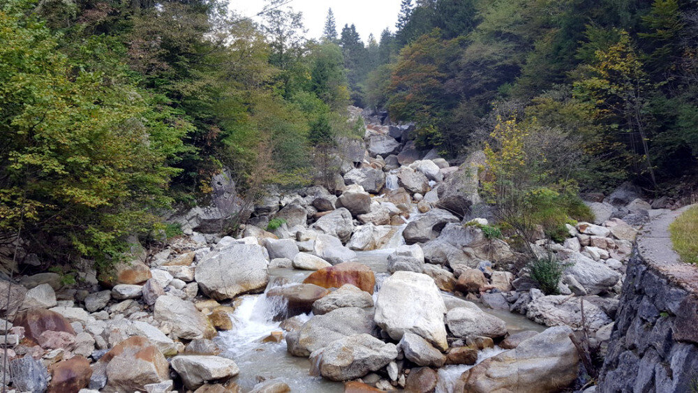 Flussbett der Tržiška Bistrica