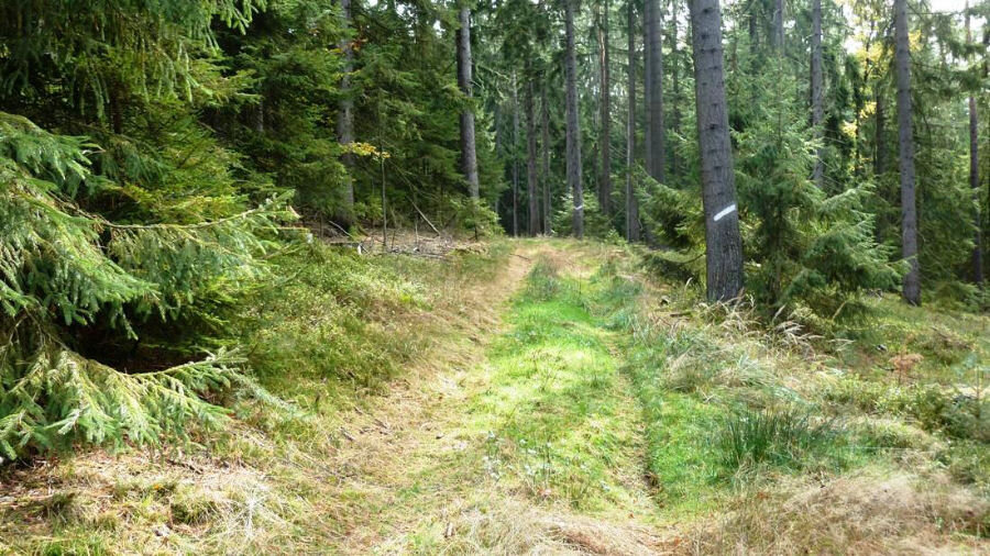 Trail am Iskaraberg