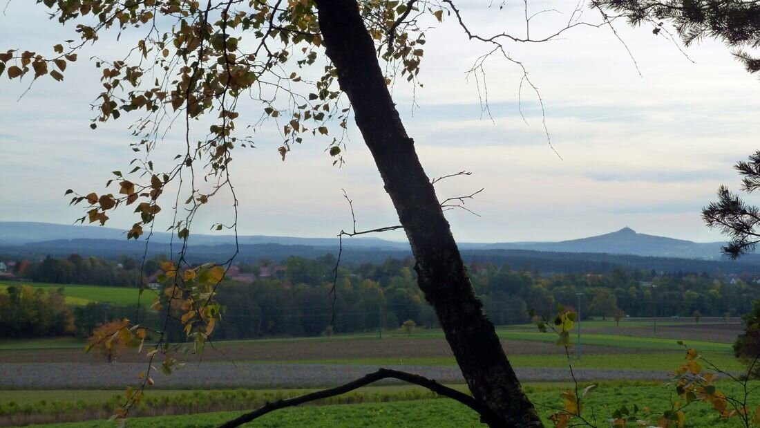 Kurz vor Muckenreuth Blick auf den Rauhen Kulm