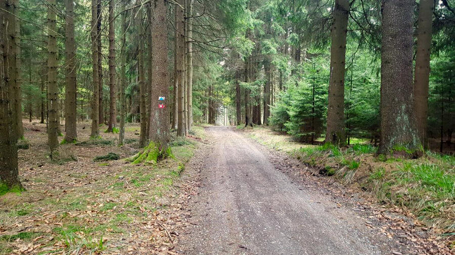 Einmündung auf den Westweg