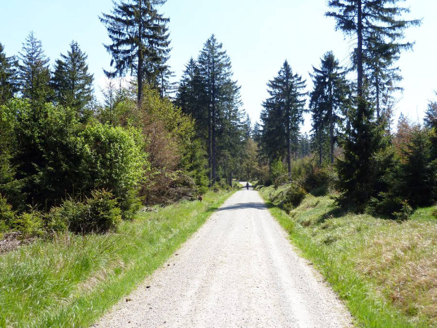 Der Weg führt ein Stück über die Königskron-Loipe