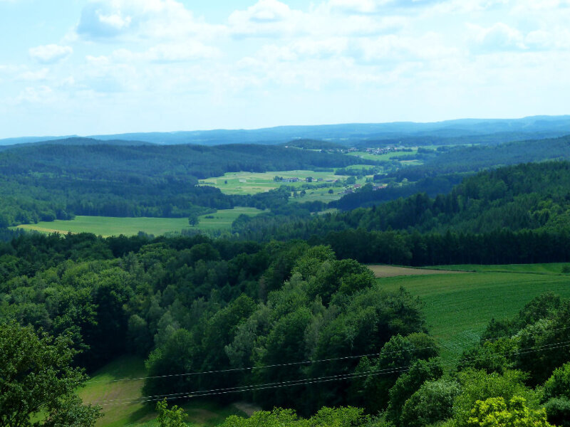 Ahorntal im Süden