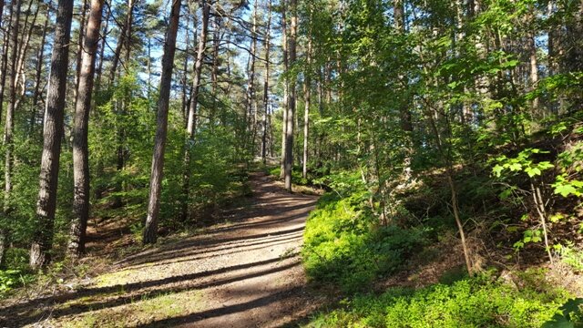 Trail am Buchstein