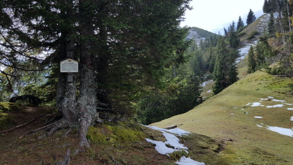 Zwischenstation Hasenjöchl (1.608 m)